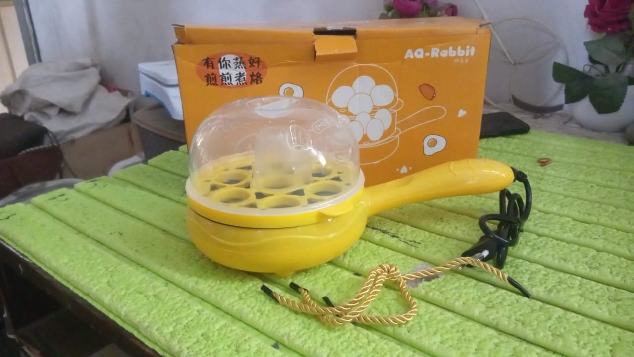 Electric 2 in 1 Egg Frying Pan