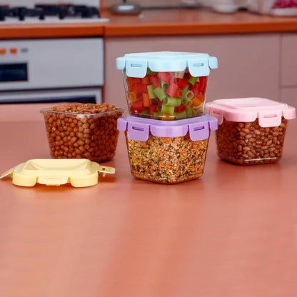 Plastic Food Storage Containers with Lid (4 Pcs Set / 500 ML)