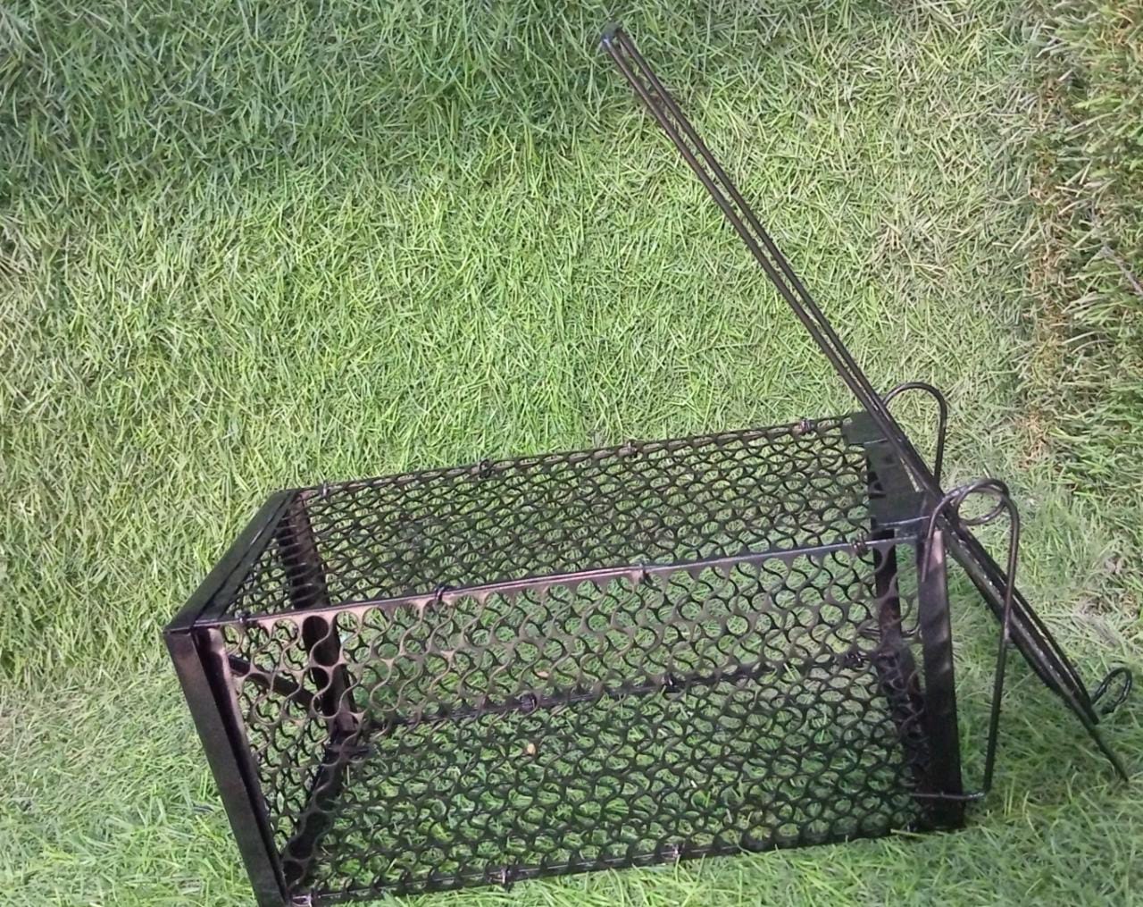 Small live trap cage for rats and mice.